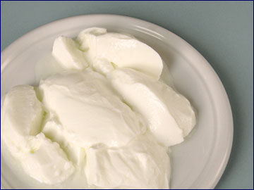 Joghurt mit probiotischen Milchsäurebakterien
